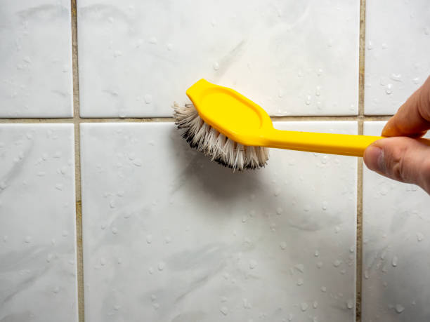 Best Residential Mold Removal  in Blennerhassett, WV