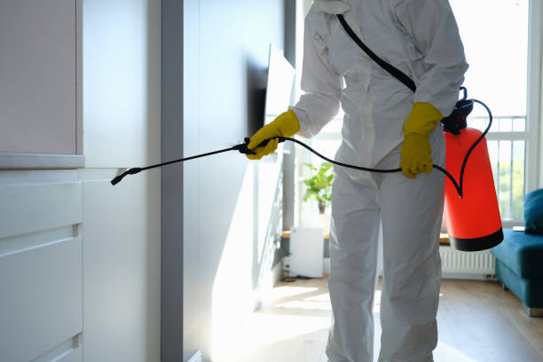 Best Mold Remediation Services  in Blennerhassett, WV